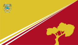 Bandera del Municipio Independencia Estado Yaracuy